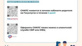 Чем вреден СНИЛС в Да