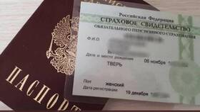 Что такое дата выдачи СНИЛС в Да