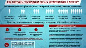 Что такое субсидия в Да