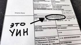 Что такое УНП в реквизитах в Да