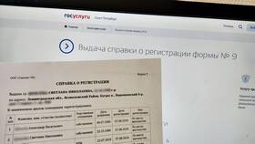 Как получить справку по форме 142н через Госуслуги в Да