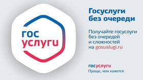 Почему не стоит пользоваться Госуслугами в Да