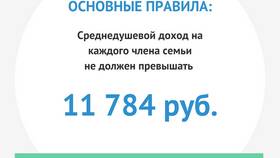 Почему учитывается доход за прошлый год в Да