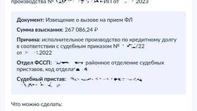 Сроки проведения платежей приставам через Госуслуги в Да