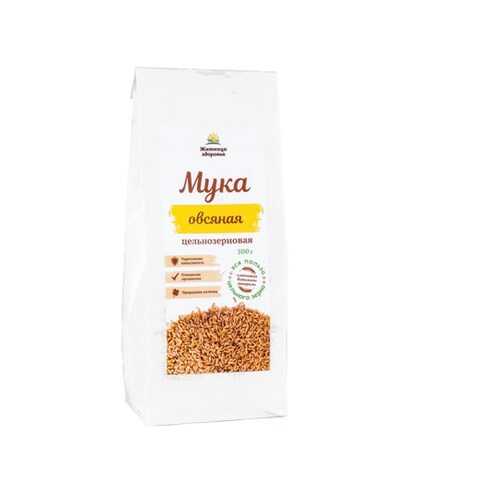 Мука овсяная цельнозерновая Житница здоровья 0.5 кг в Да
