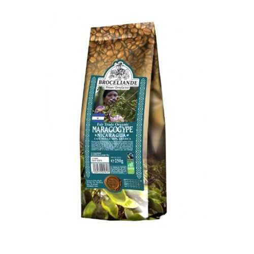 Кофе молотый Broceliande maragogype Nicaragua броселианд марагоджип Никарагуа 250 г в Да
