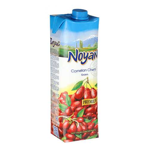 Кизиловый нектар Noyan premium 1л в Да